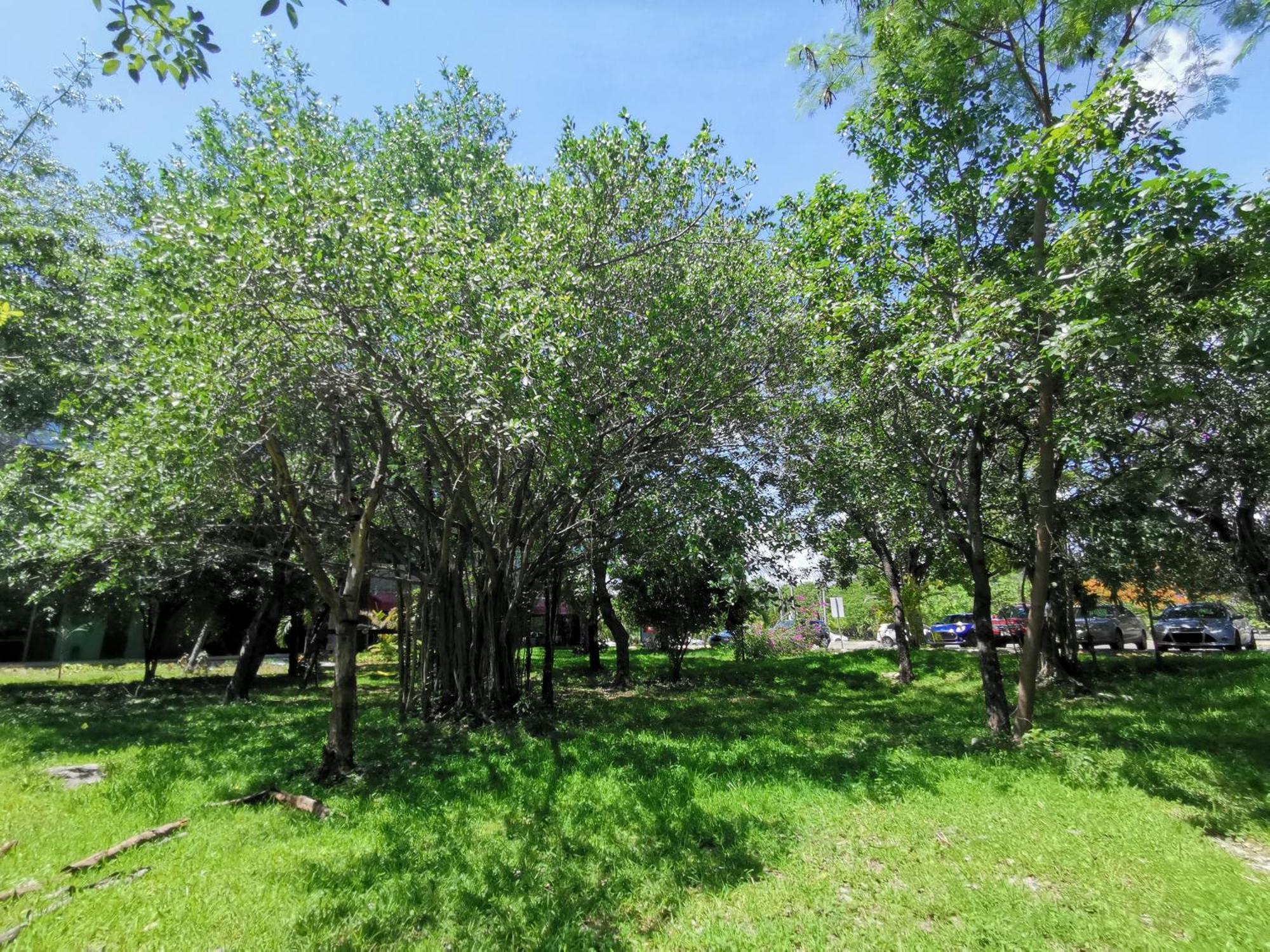 Beautiful & Cozy Near Beach Apartment Pool & Kingsize Bed Cancún Chambre photo